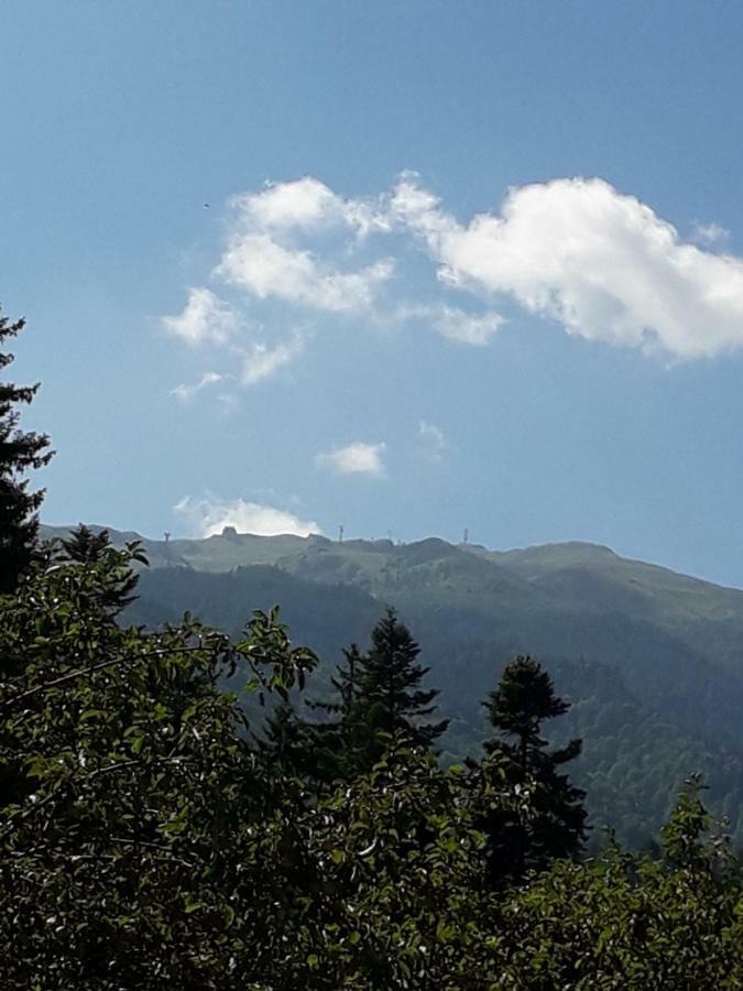 Hotel Lanobila Sinaia Zewnętrze zdjęcie